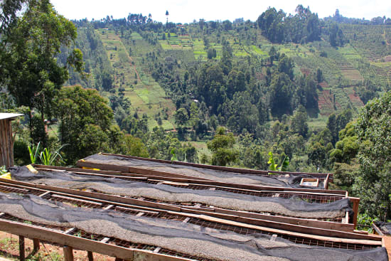 Kenya, Uteuzi Jimbo