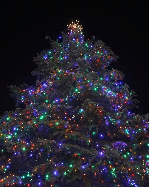 Village Holiday Festival & Tree Lighting Ceremony in Barrington