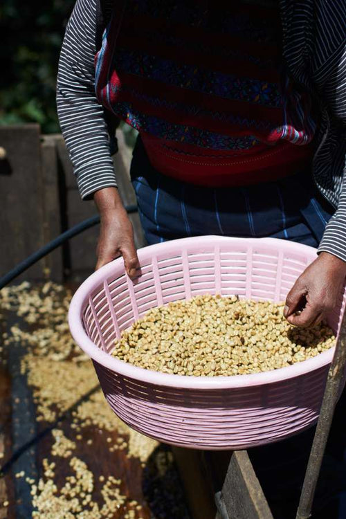 Three baskets of coffee beans