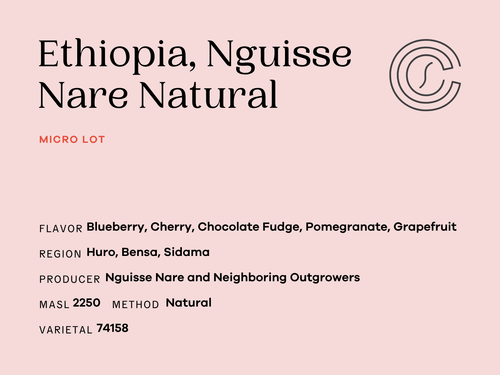 Ethiopia, Nguisse Nare Natural front label: blueberry, cherry, chocolate fudge, pomegranate, grapefruit