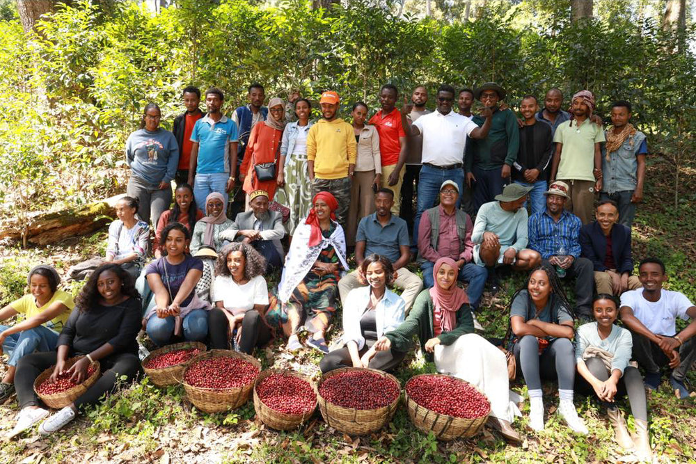Ethiopia, Kayon Mountain