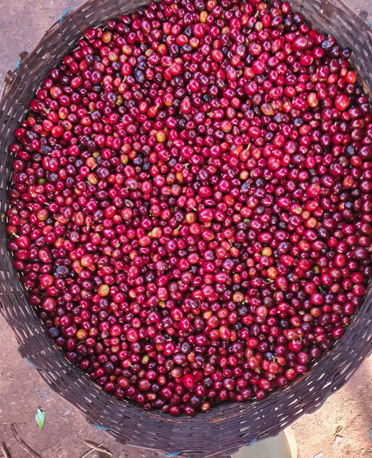 Ethiopia, Kayon Mountain