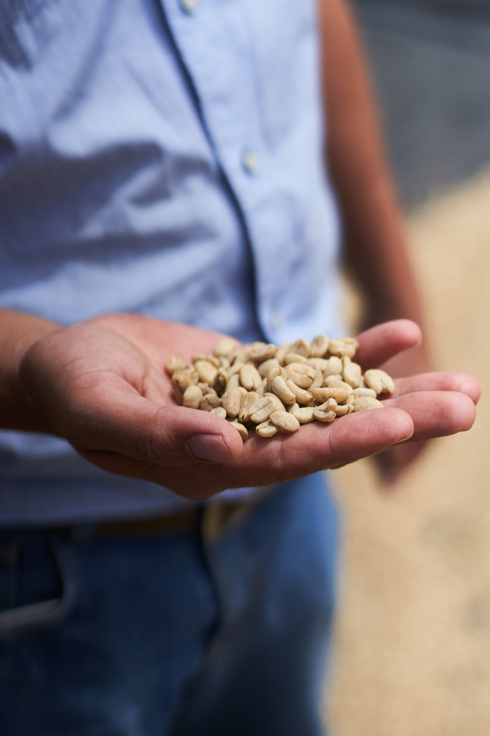 Honduras, Finca Las Flores