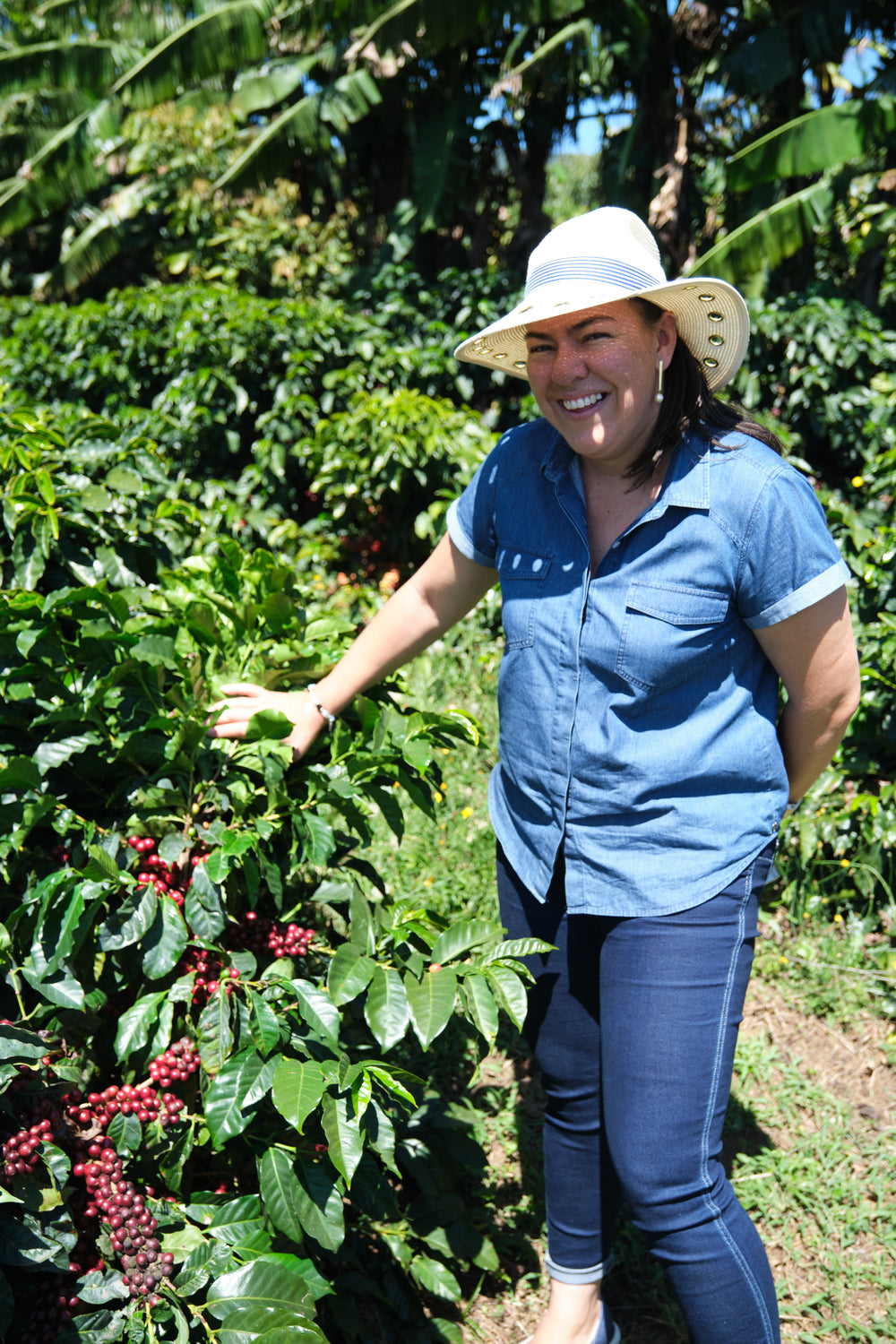 Costa Rica, Finca Calle Liles