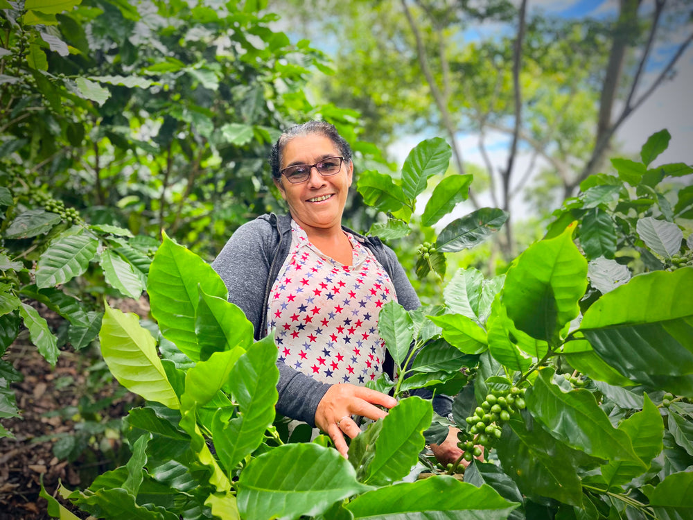 Nicaragua, Finca Los Positos