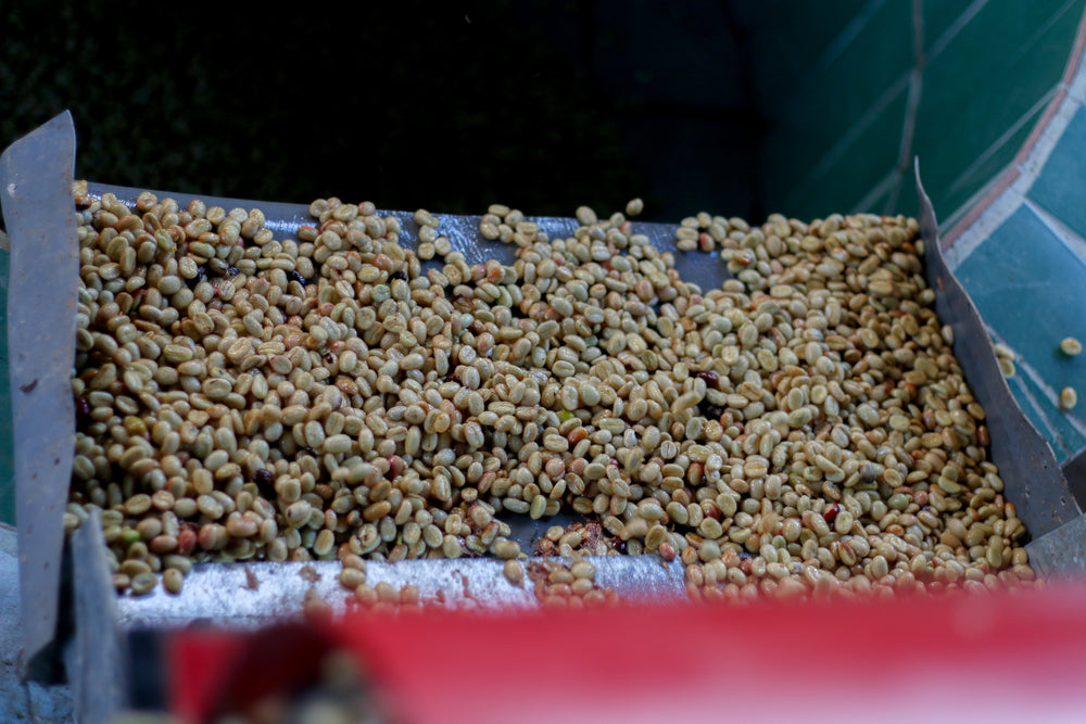 Decaf Peru, MWP Lima