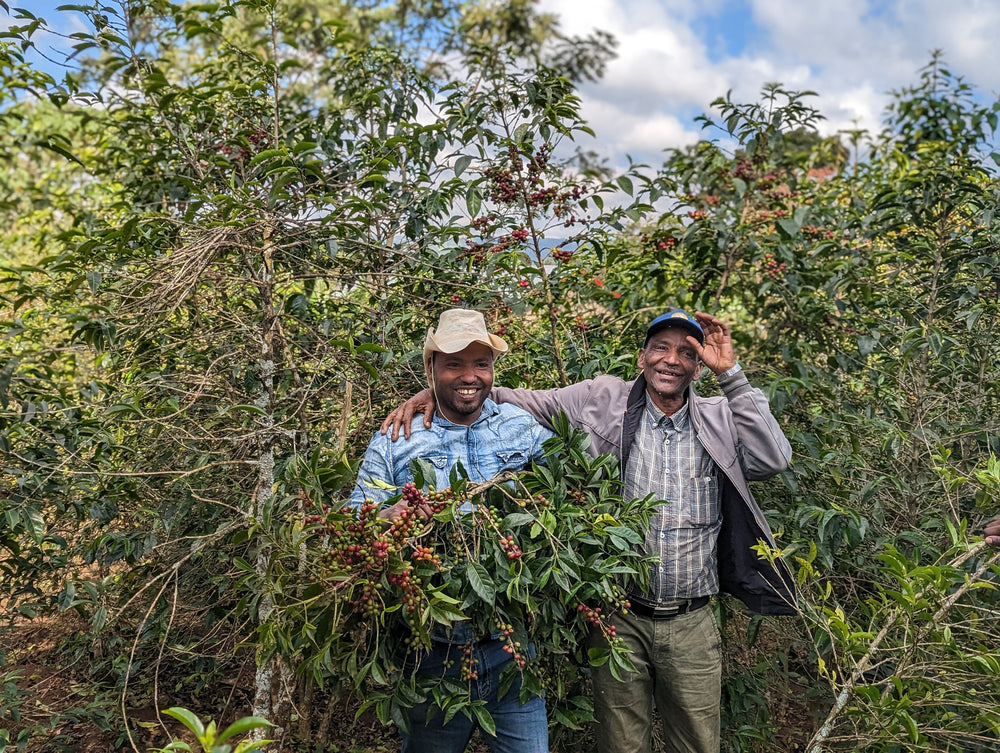 Ethiopia, Basha Bekele
