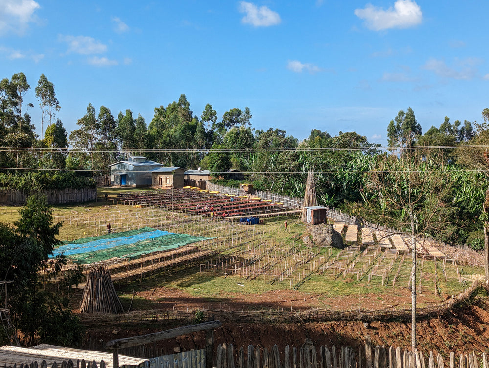 Ethiopia, Basha Bekele