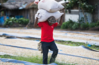 Papúa Nueva Guinea, Keto Tapasi