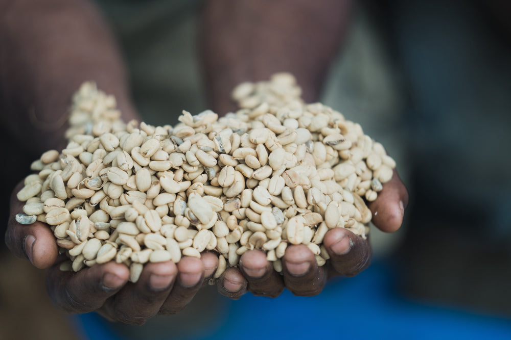 unroasted coffee beans img